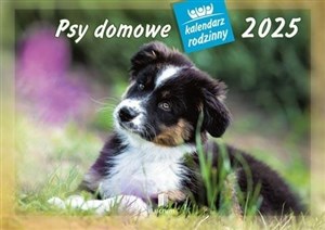 Kalendarz 2025 rodzinny WL08 Psy domowe online polish bookstore