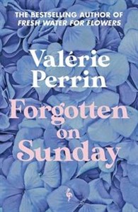 Forgotten on Sunday  buy polish books in Usa