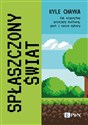 Spłaszczony świat Jak algorytmy przejęły kulturę, gust i nasze wybory books in polish