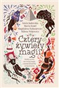 Cztery żywioły magii  - Aneta Jadowska, Magdalena Kubasiewicz, Marta Kisiel, Milena Wójtowicz Polish bookstore