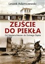 Zejście do piekła Od Niederschlesien do Dolnego Śląska Polish bookstore