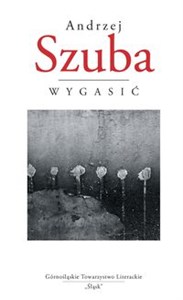 Wygasić - Polish Bookstore USA