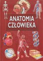 Anatomia człowieka Ilustrowana encyklopedia chicago polish bookstore