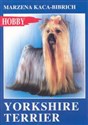 Yorkshire terrier in polish