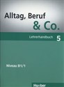 Alltag Beruf & Co 5 Lehrerhandbuch  