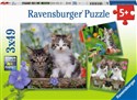 Puzzle 3x49 Kocięta - 