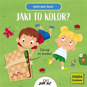 Odkrywam świat. Jaki to kolor? books in polish