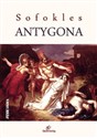 Antygona polish usa