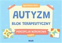 Autyzm blok terapeutyczny Percepcja wzrokowa część 1  