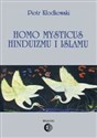 Homo mysticus hinduizmu i islamu to buy in Canada