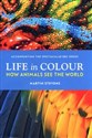 Life in Colour How Animals See the World polish usa