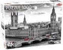 Palace of Westminster Puzzle 1000  bookstore