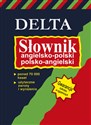 Słownik angielsko-polski, polsko-angielski - praca zbiorowa