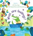 Lift-the-Flap First Questions and Answers What are feelings? polish books in canada