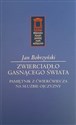 Zwierciadło gasnącego świata Pamiętnik z ćwierćwiecza na służbie Ojczyzny bookstore