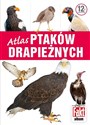 Atlas ptaków drapieżnych  - Magdalena Janiszewska, Aleksandra Janiszewska