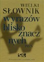 Wielki słownik wyrazów bliskoznacznych PWN z płytą CD  