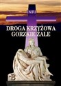 Droga Krzyżowa. Gorzkie Żale  - ks. Edmund Skalski