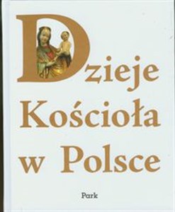 Dzieje Kościoła w Polsce polish usa