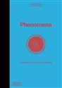 Phenomena An Infographic Guide to Almost Everything - Camille Juzeau Polish bookstore