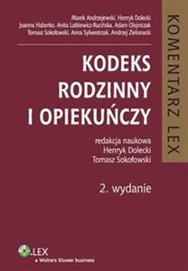 Kodeks rodzinny i opiekuńczy Komentarz  buy polish books in Usa