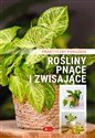 Rośliny pnące i zwisające Poradnik praktyczny Polish bookstore