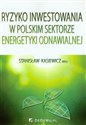 Ryzyko inwestowania w polskim sektorze energetyki odnawialnej  Bookshop