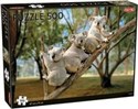 Koalas Puzzle 500  buy polish books in Usa
