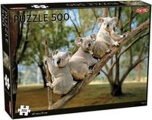 Koalas Puzzle 500  buy polish books in Usa