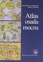 Atlas osadu moczu - Irena Węgrowicz-Rebandel, Henryk Rebandel