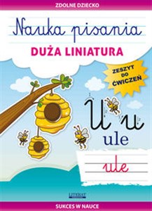 Nauka pisania Duża liniatura Zeszyt do ćwiczeń. Sukces w nauce  