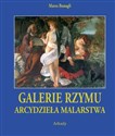 Galerie Rzymu Arcydzieła Malarstwa polish books in canada