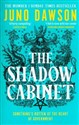 The Shadow Cabinet  - Polish Bookstore USA