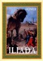 ILIADA buy polish books in Usa