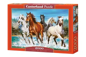 Puzzle Call of Nature 2000 C-200702 pl online bookstore