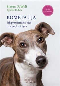 Kometa i ja Jak przygarnięty pies uratował mi życie online polish bookstore