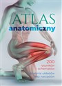 Atlas anatomiczny 200 rysunków i schematów. Działanie układów oraz narządów online polish bookstore