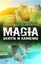 Magia ukryta w kamieniu Bookshop