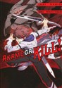 Akame ga Kill! Tom 14 Canada Bookstore