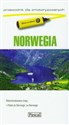 Norwegia Przewodnik dla zmotoryzowanych  pl online bookstore