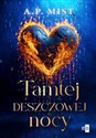 Tamtej deszczowej nocy  - A.P. Mist