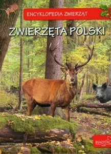 Encyklopedia zwierząt Zwierzęta Polski  