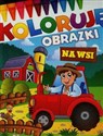 Na wsi Koloruję obrazki bookstore