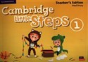 Cambridge Little Steps Level 1 Teacher's Edition American English pl online bookstore