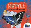 Motyle dzienne i nocne to buy in USA