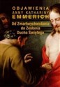 Od  Zmartwychwstania do Zesłania Ducha Świętego Objawienia Anny Kathariny Emmerich - Anna Katharina Emmerich