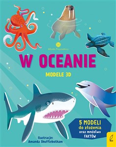 W oceanie. Modele 3D. Młodzi przyrodnicy  