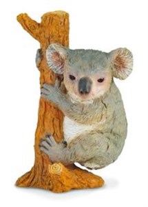 Miś koala wspinający się M to buy in Canada