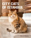 City Cats of Istanbul  buy polish books in Usa