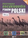 Ilustrowana encyklopedia ptaków Polski 